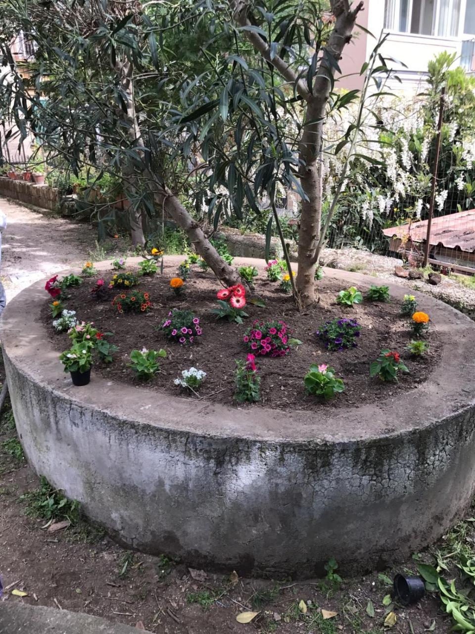 나폴리 Il Giardino Di Vico Neve B&B 외부 사진