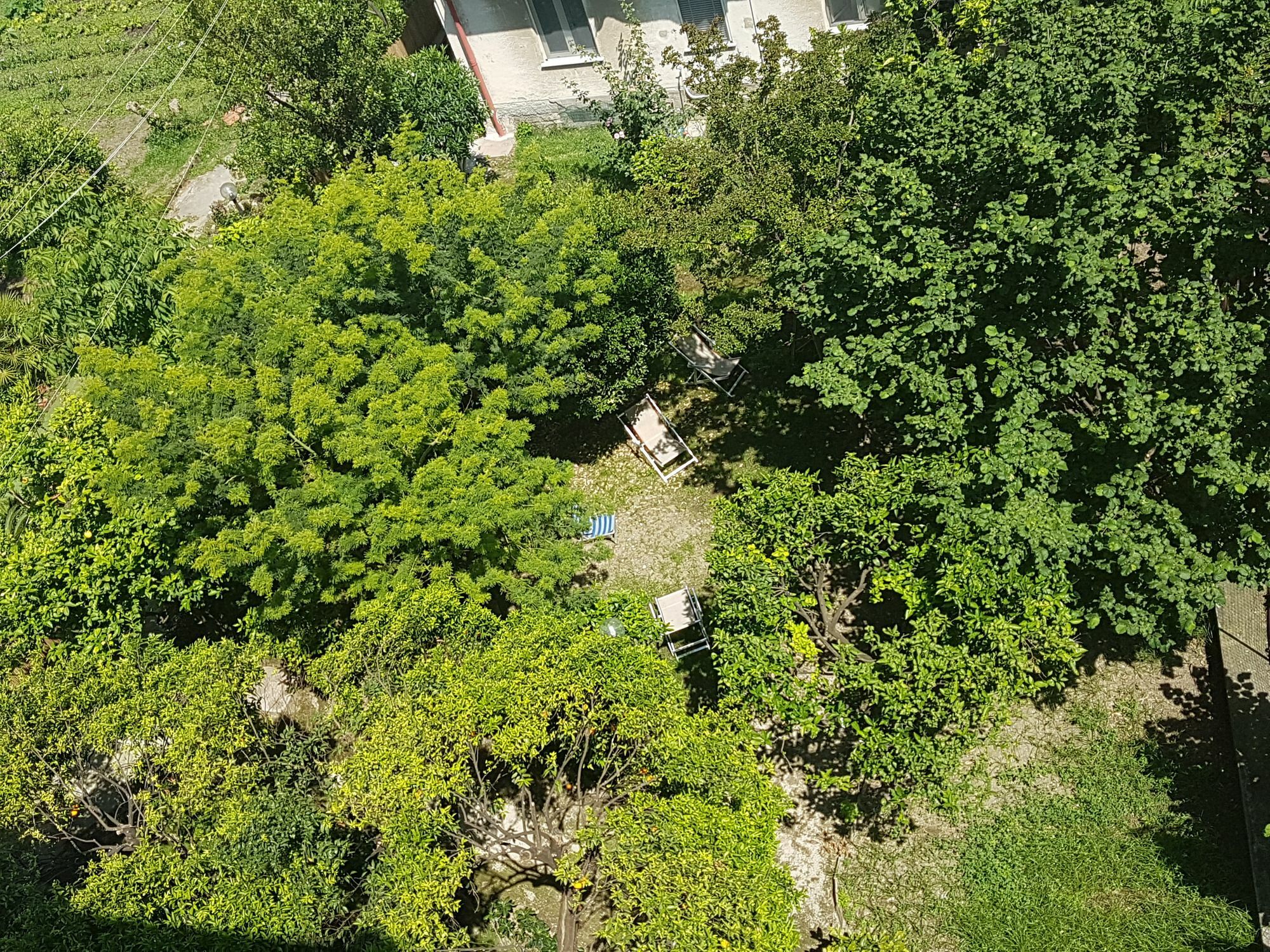 나폴리 Il Giardino Di Vico Neve B&B 외부 사진